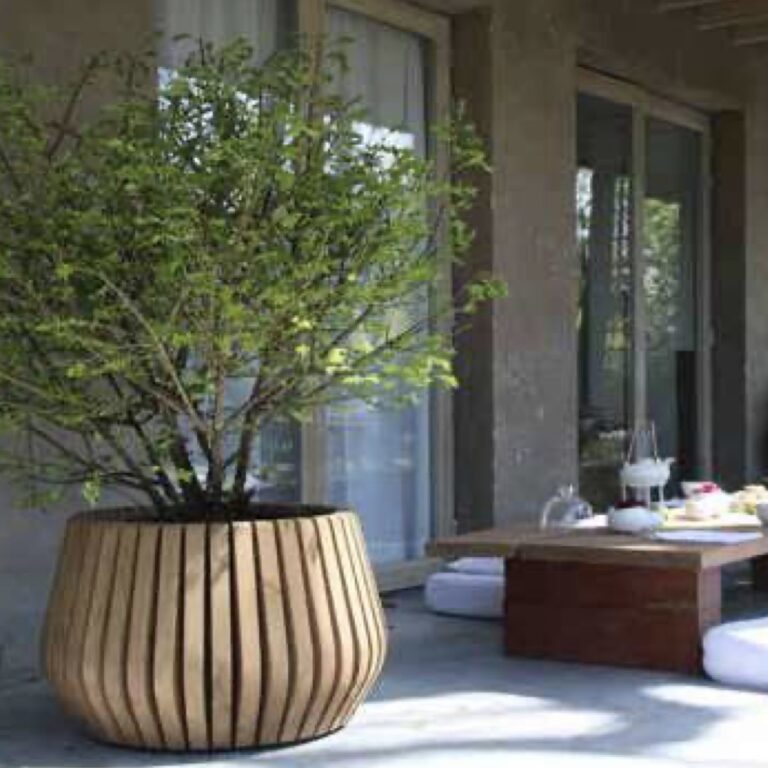 Fenne planter / Price on demand